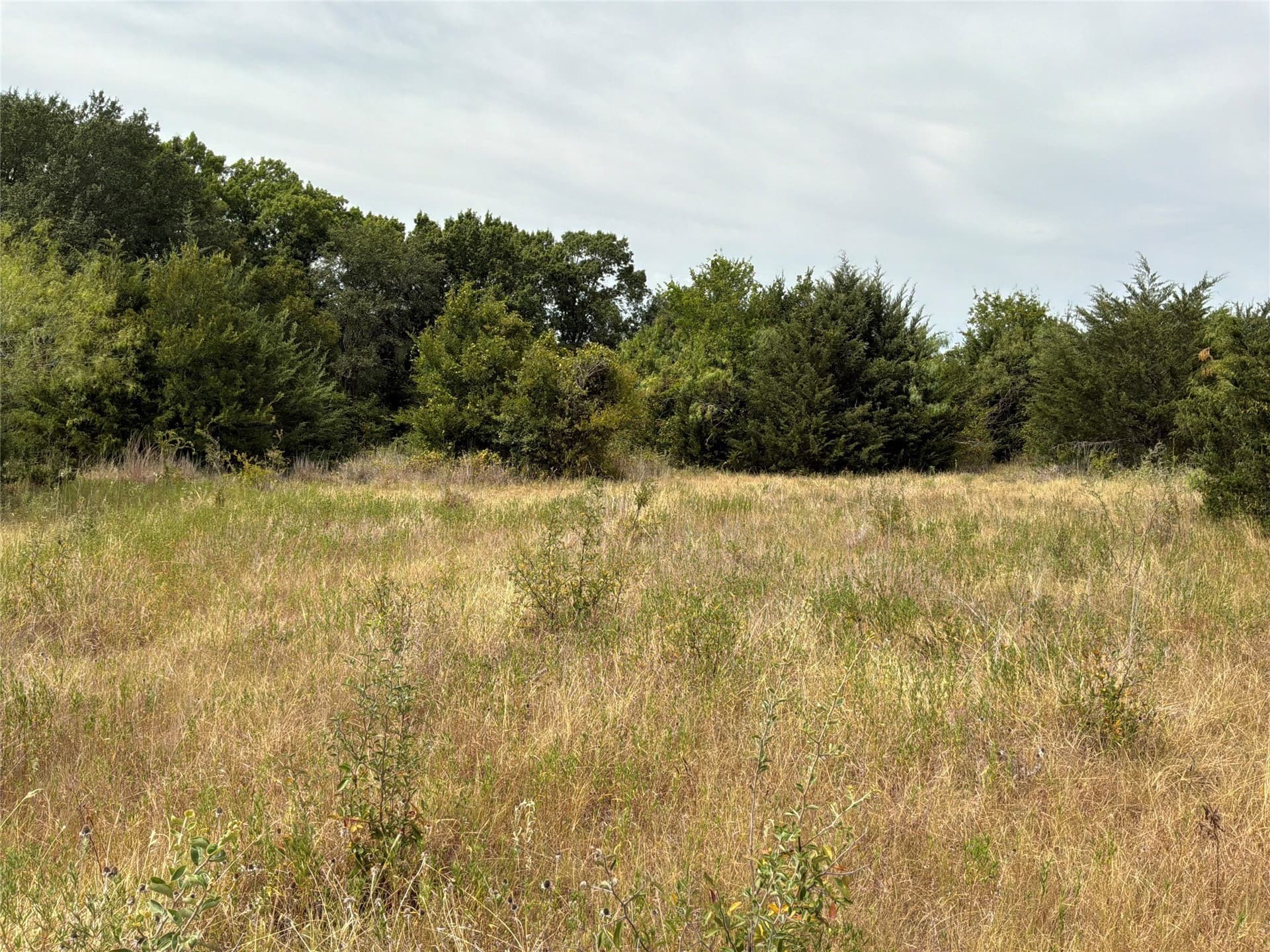 12.35 acres in Navarro County - photo 3