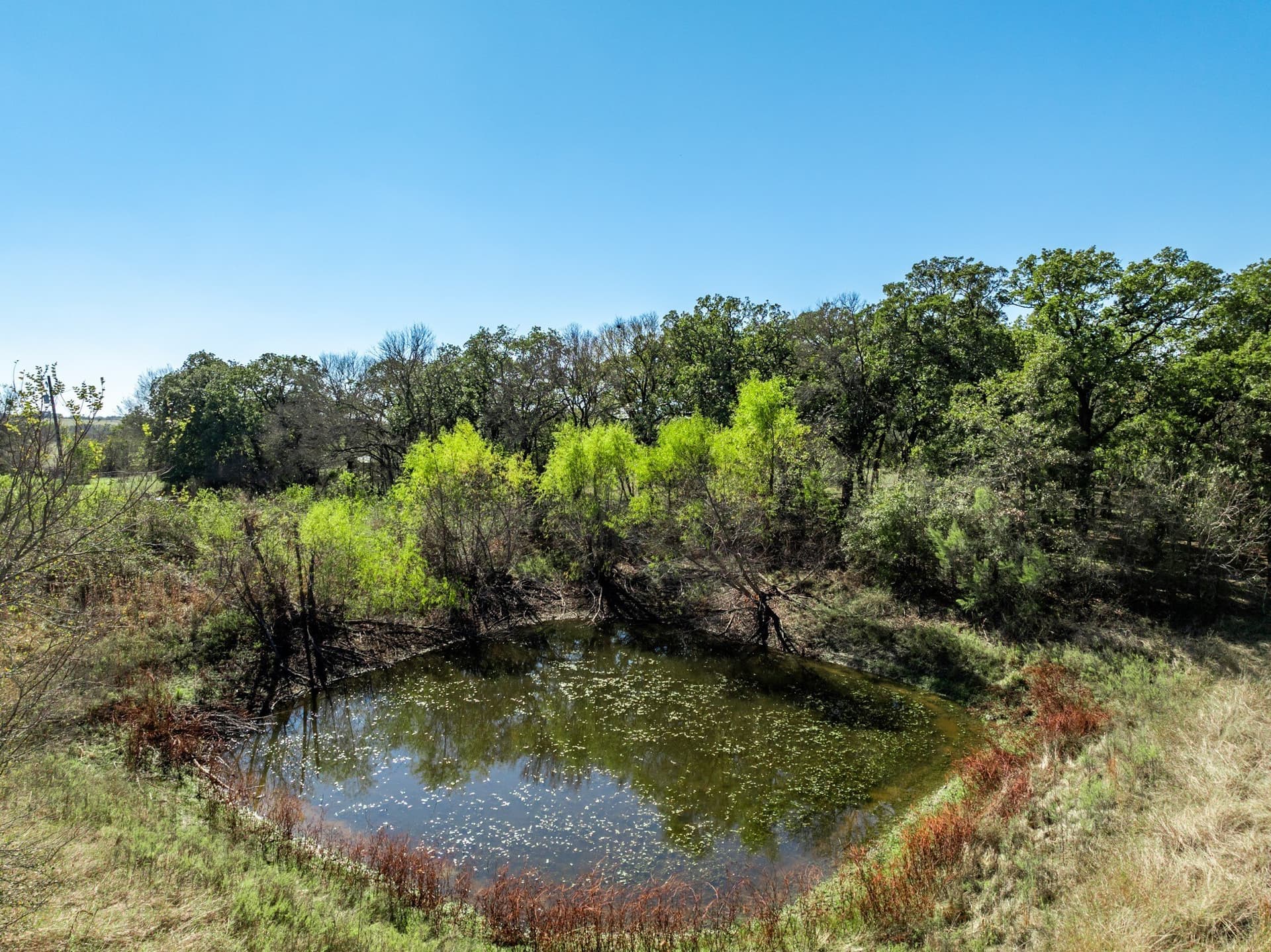 2.78 acres in McLennan County - photo 14