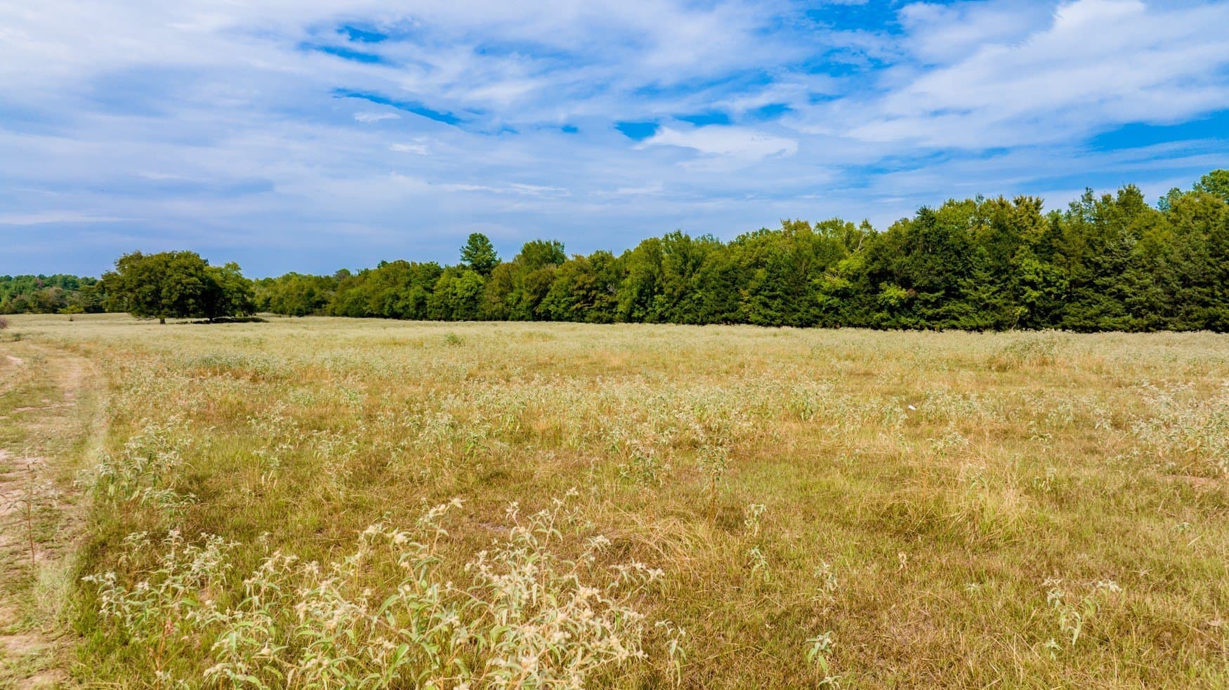 150 acres in Camp County - photo 9