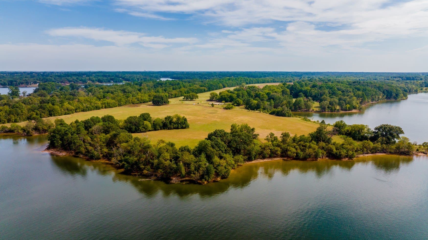 150 acres in Camp County featured view
