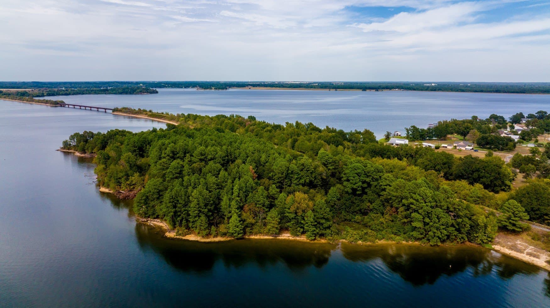 150 acres in Camp County gallery image 4