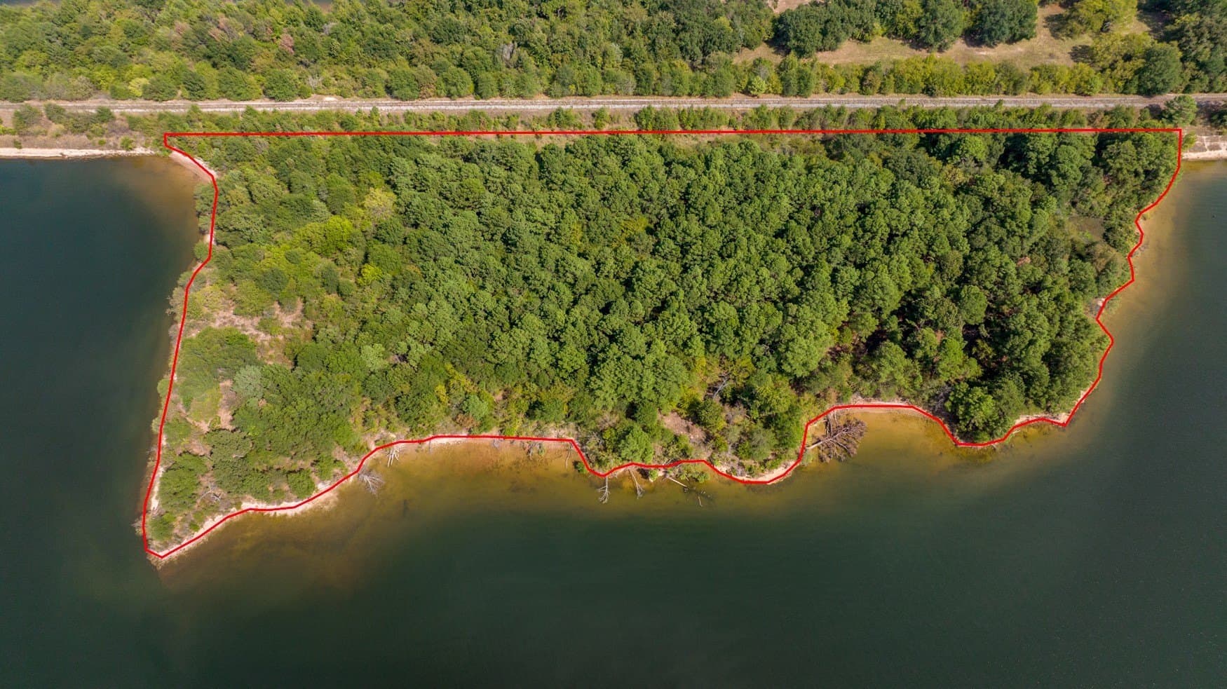 150 acres in Camp County gallery image 3