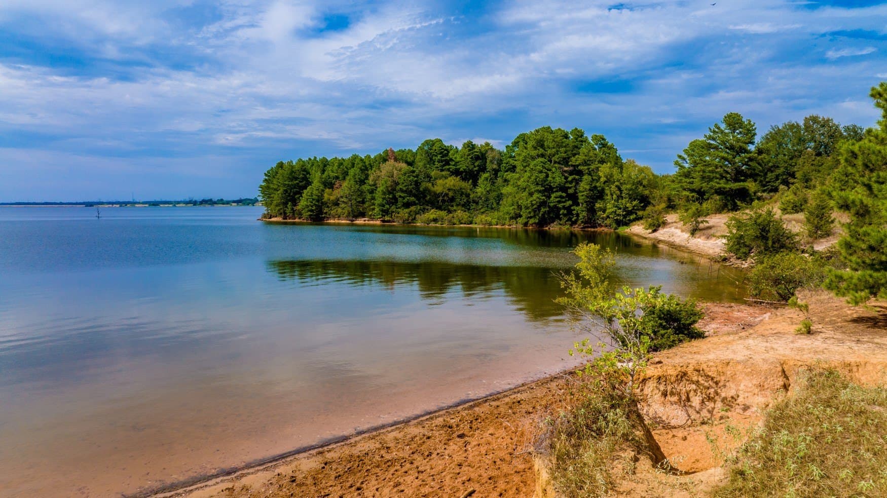 150 acres in Camp County - photo 7