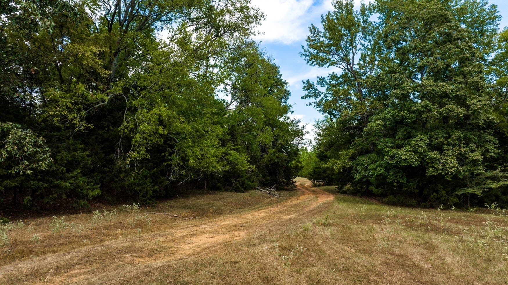 150 acres in Camp County - photo 10