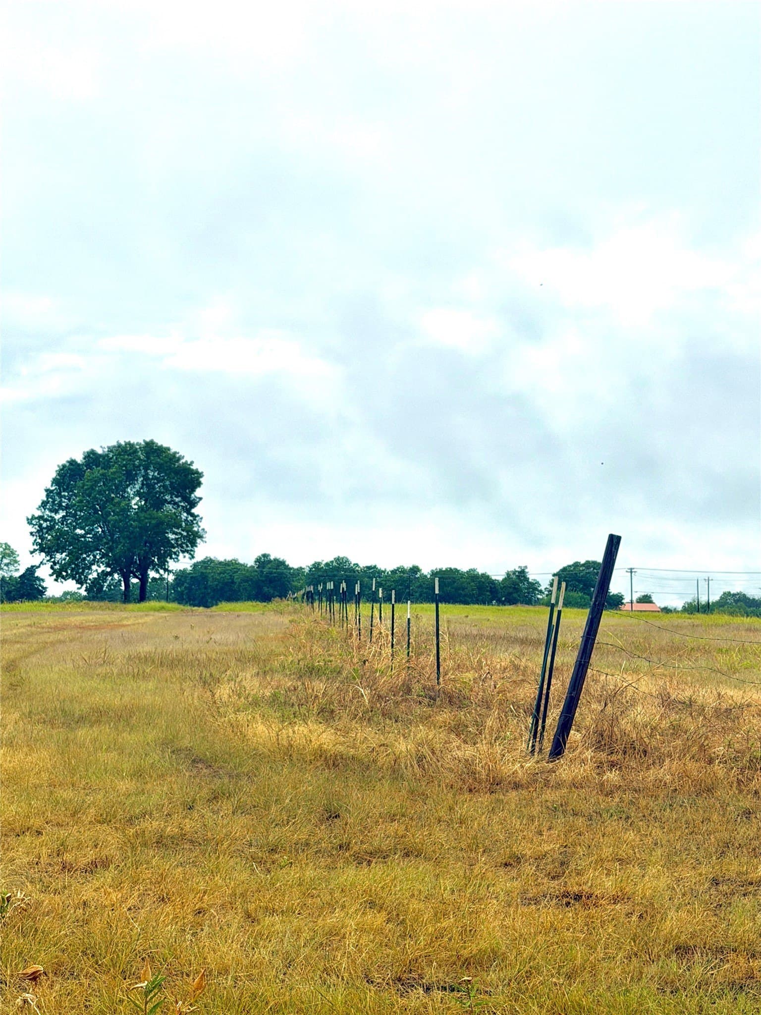 10.01 acres in Rains County - photo 3