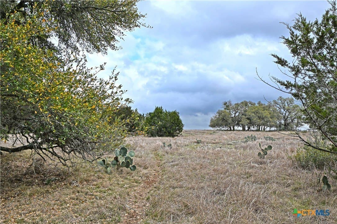25 acres in Comal County featured view