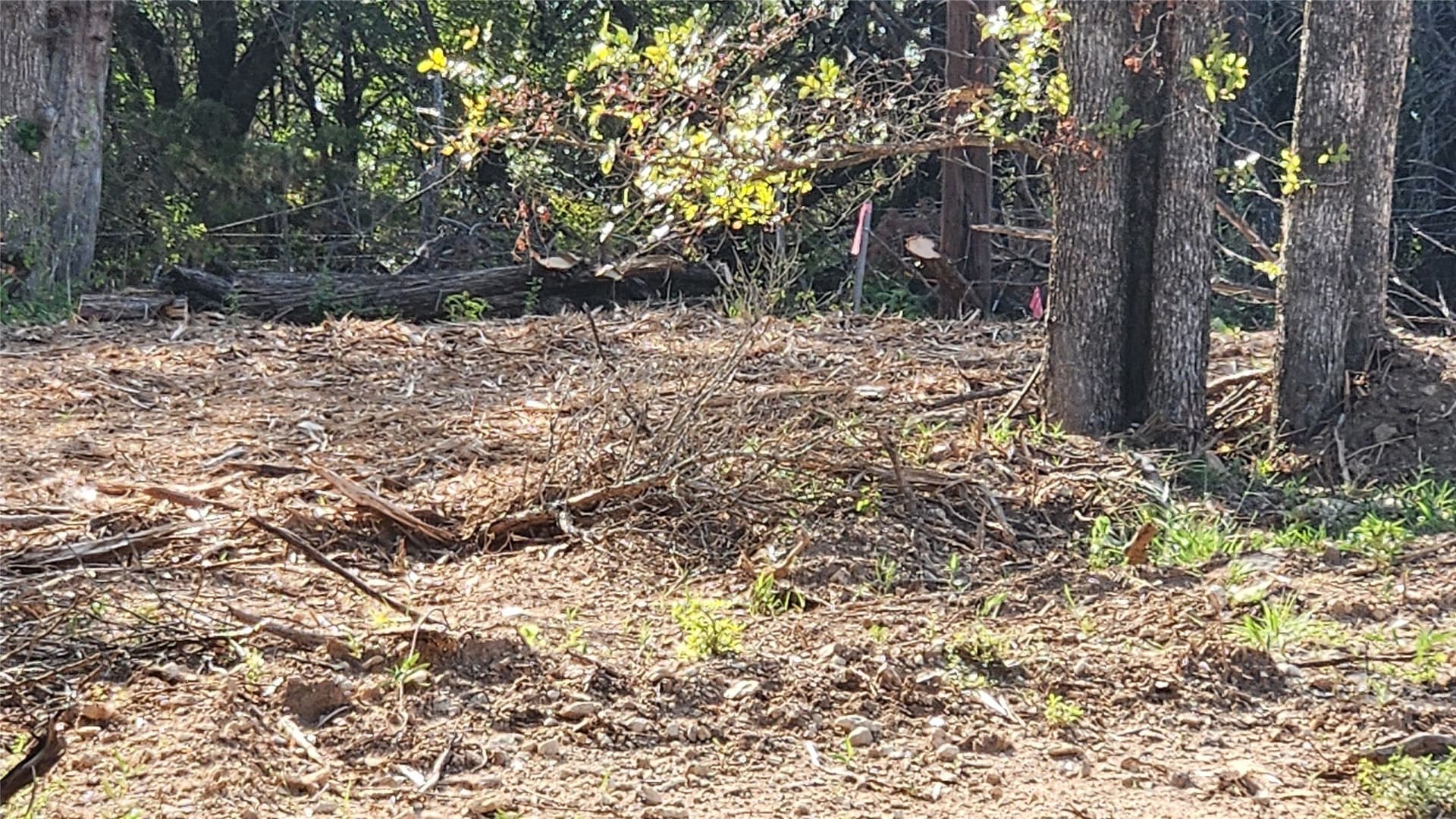 0.11 acres in Hood County - photo 3