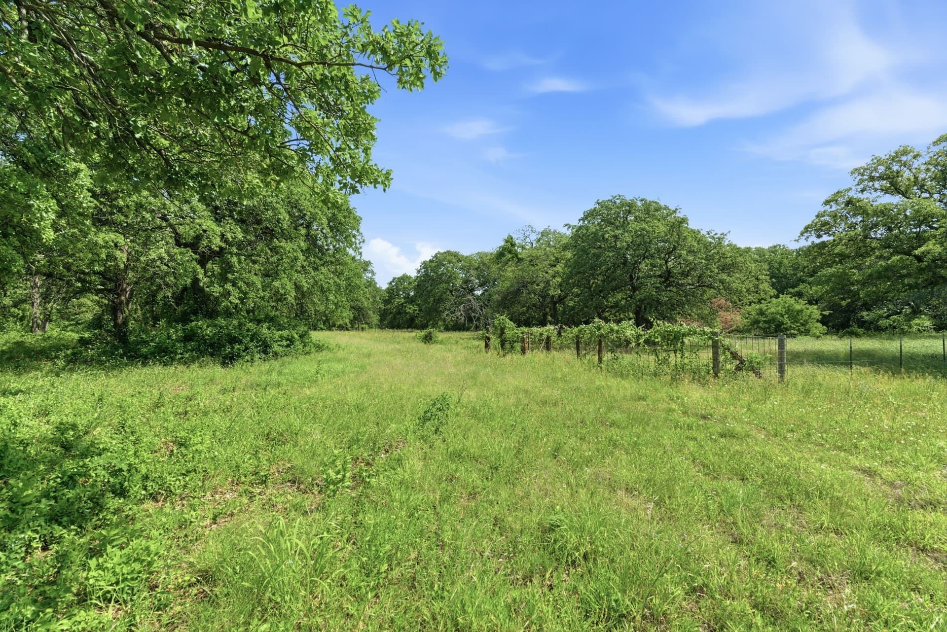 10.76 acres in Parker County - photo 30