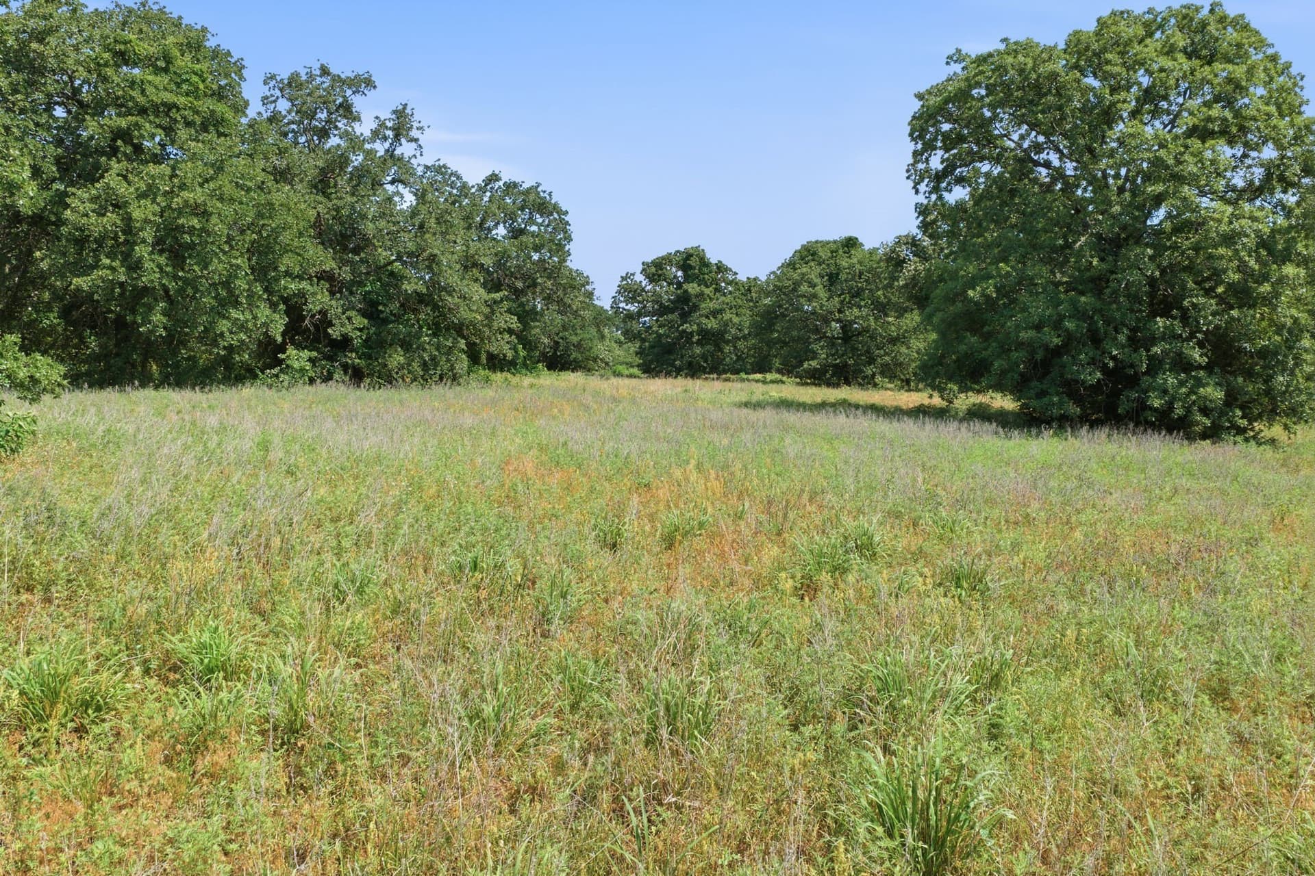 10.76 acres in Parker County - photo 37