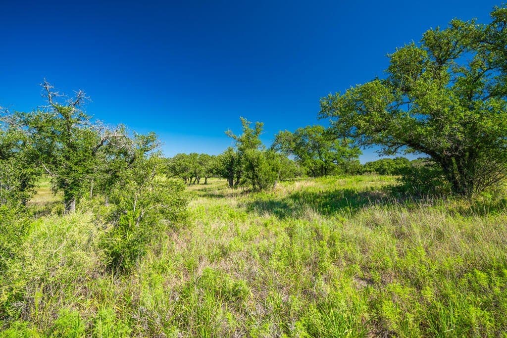 61 acres in McCulloch County - photo 20