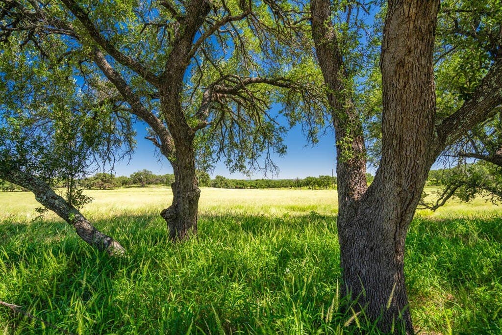 61 acres in McCulloch County - photo 13