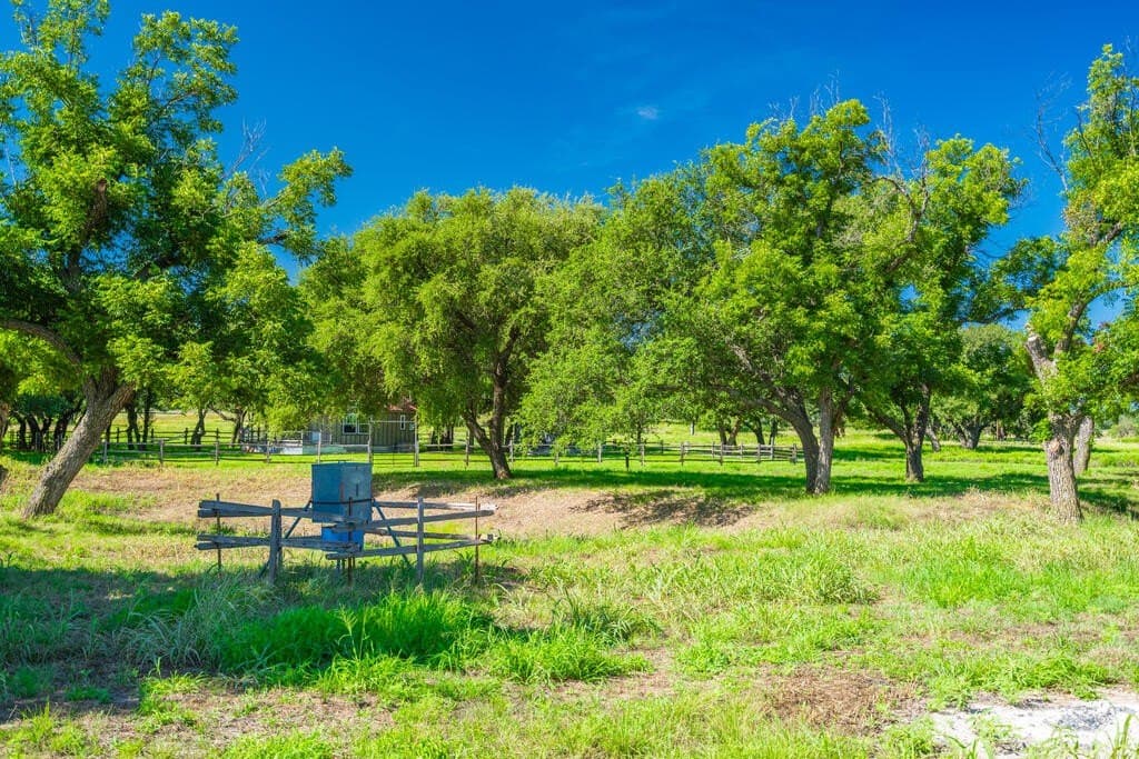 61 acres in McCulloch County - photo 22