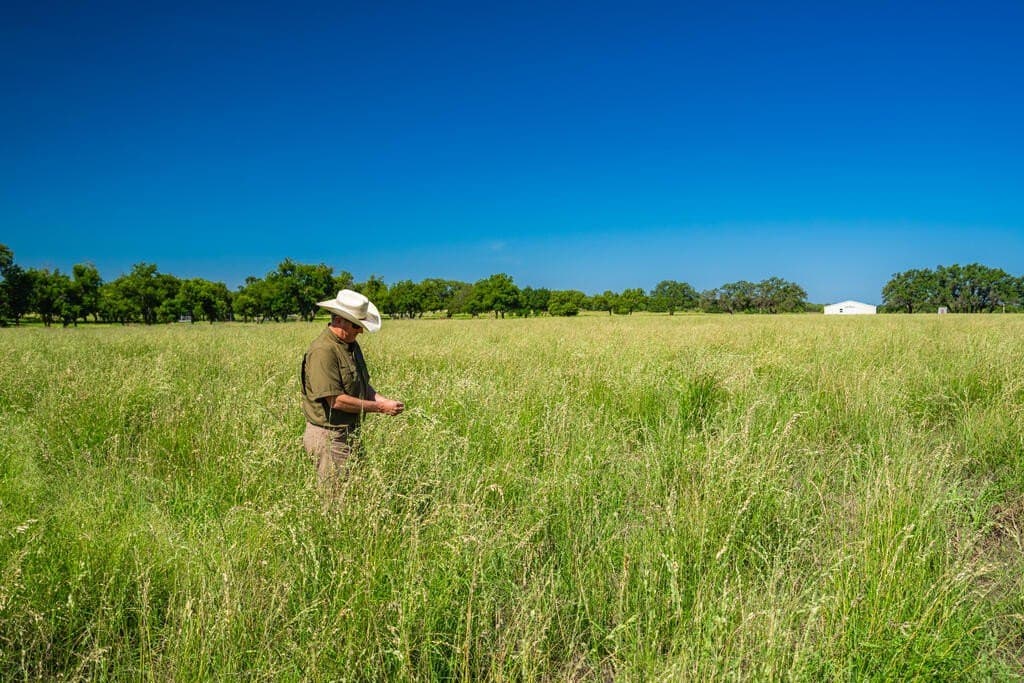 61 acres in McCulloch County - photo 28