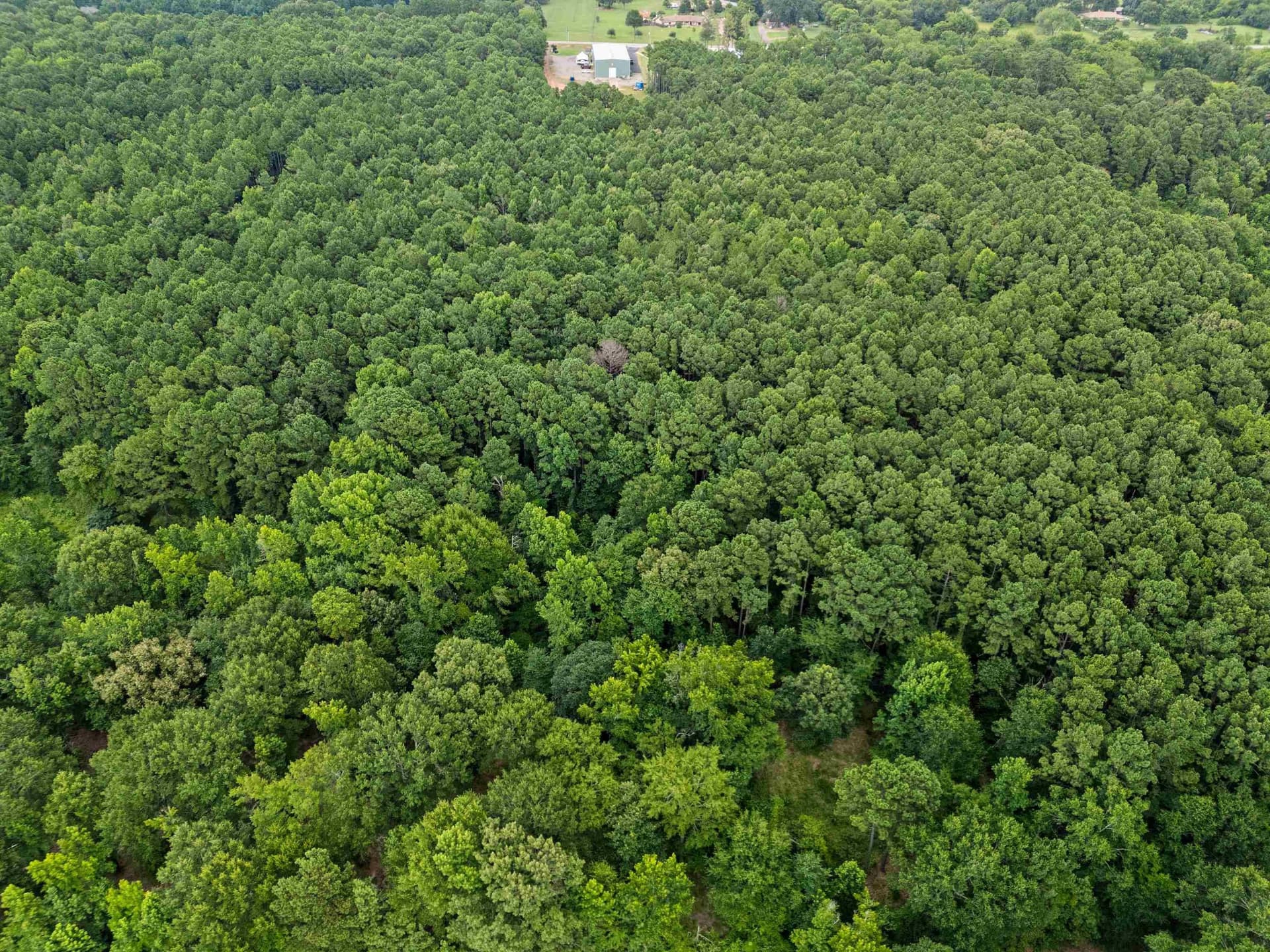 31.24 acres in Gregg County - photo 22