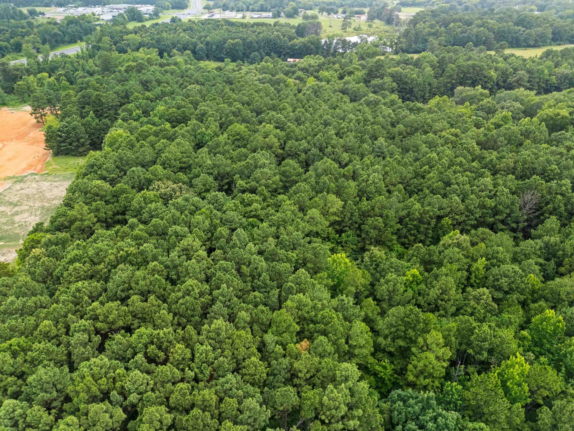 31.24 acres in Gregg County - photo 11
