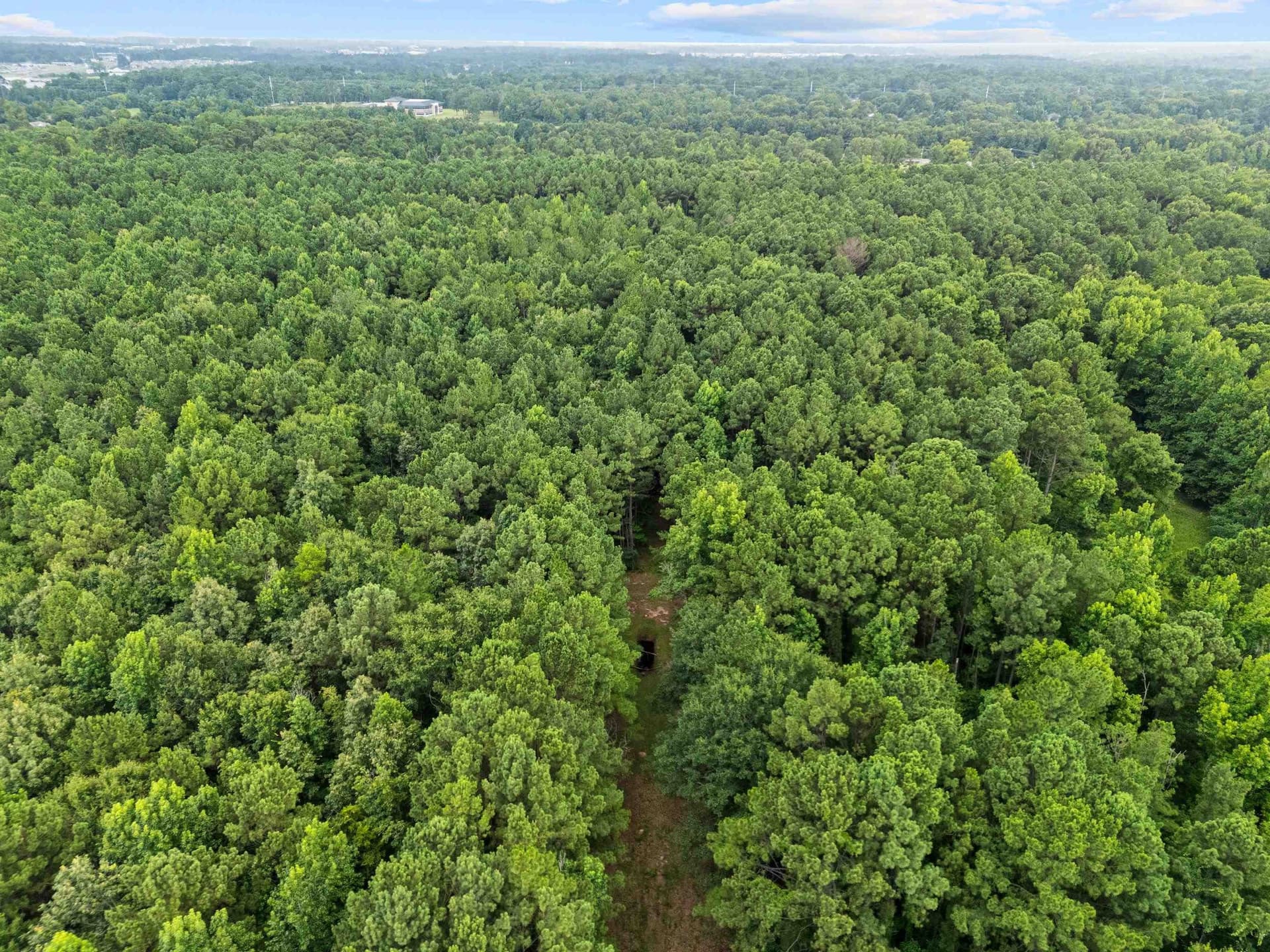 31.24 acres in Gregg County - photo 24