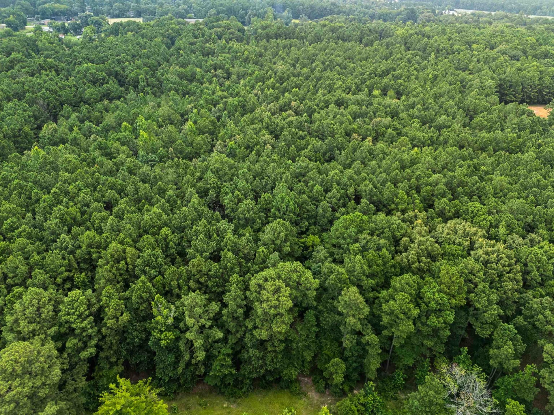 31.24 acres in Gregg County - photo 10