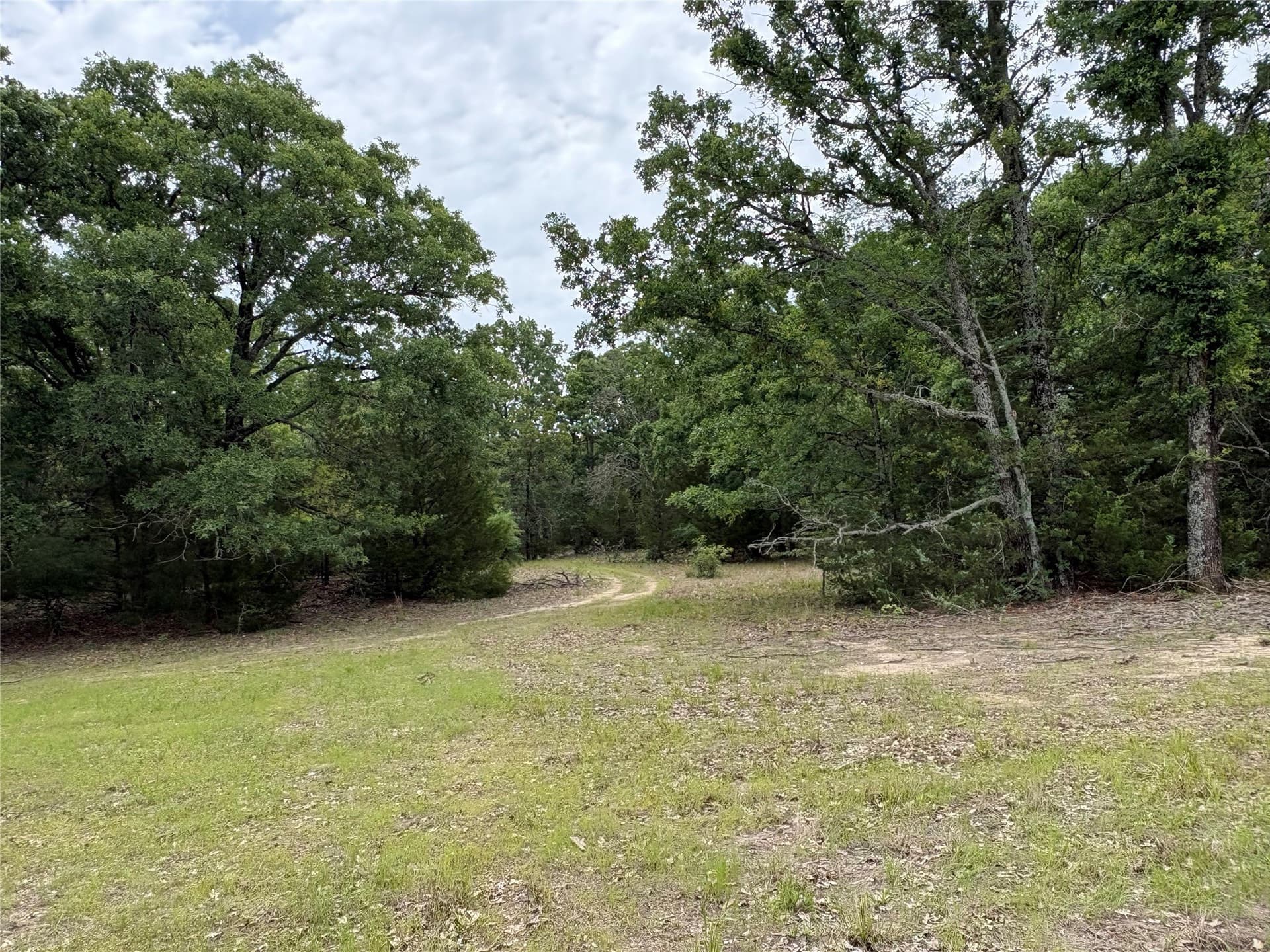 54.38 acres in Hopkins County - photo 19