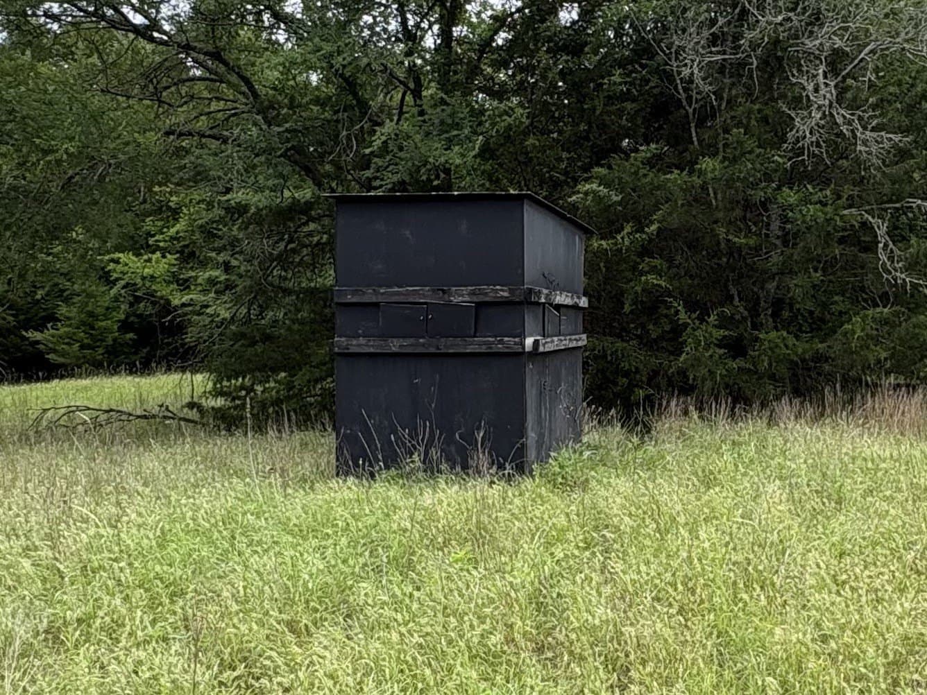 54.38 acres in Hopkins County - photo 12
