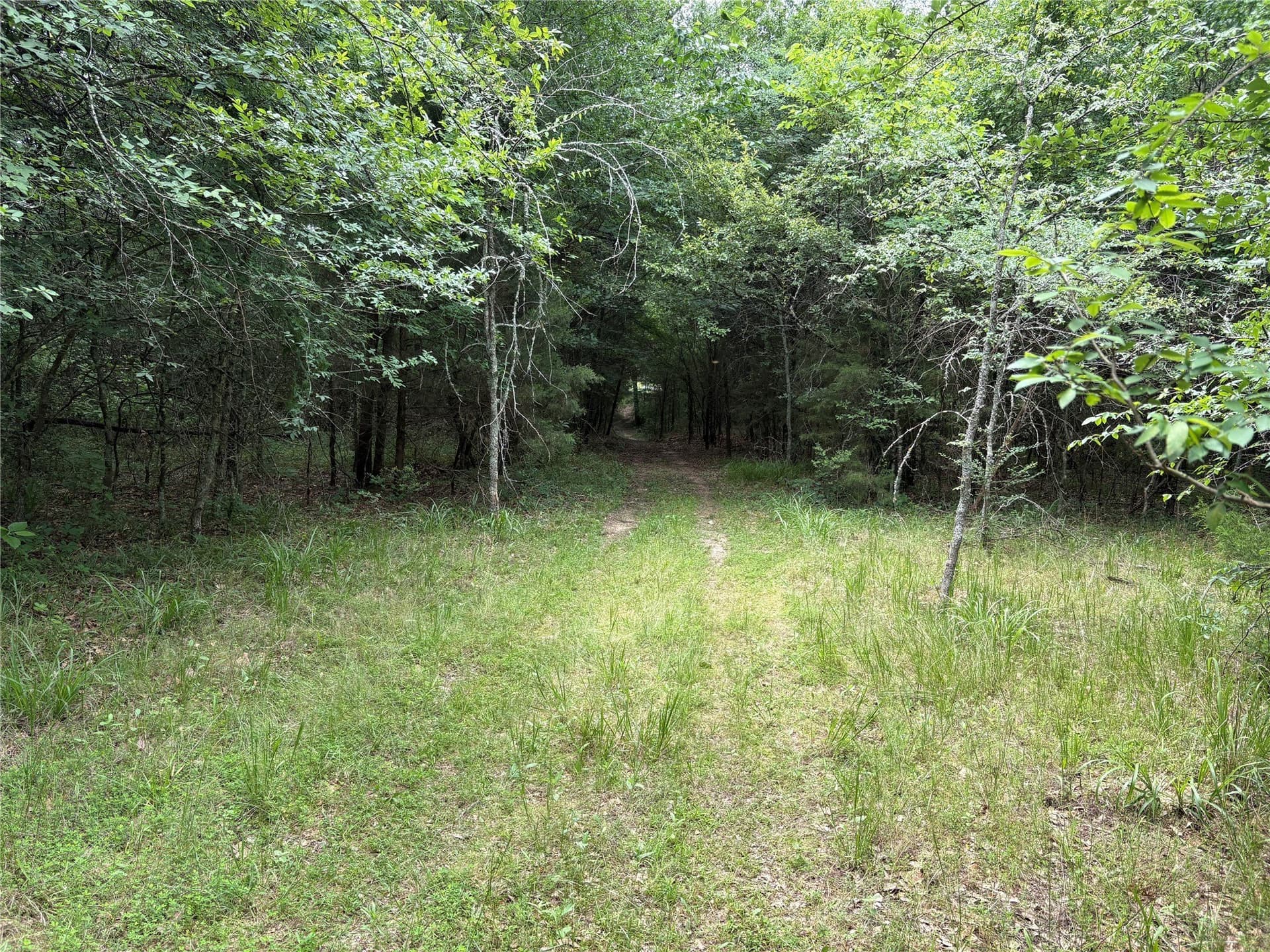54.38 acres in Hopkins County - photo 21
