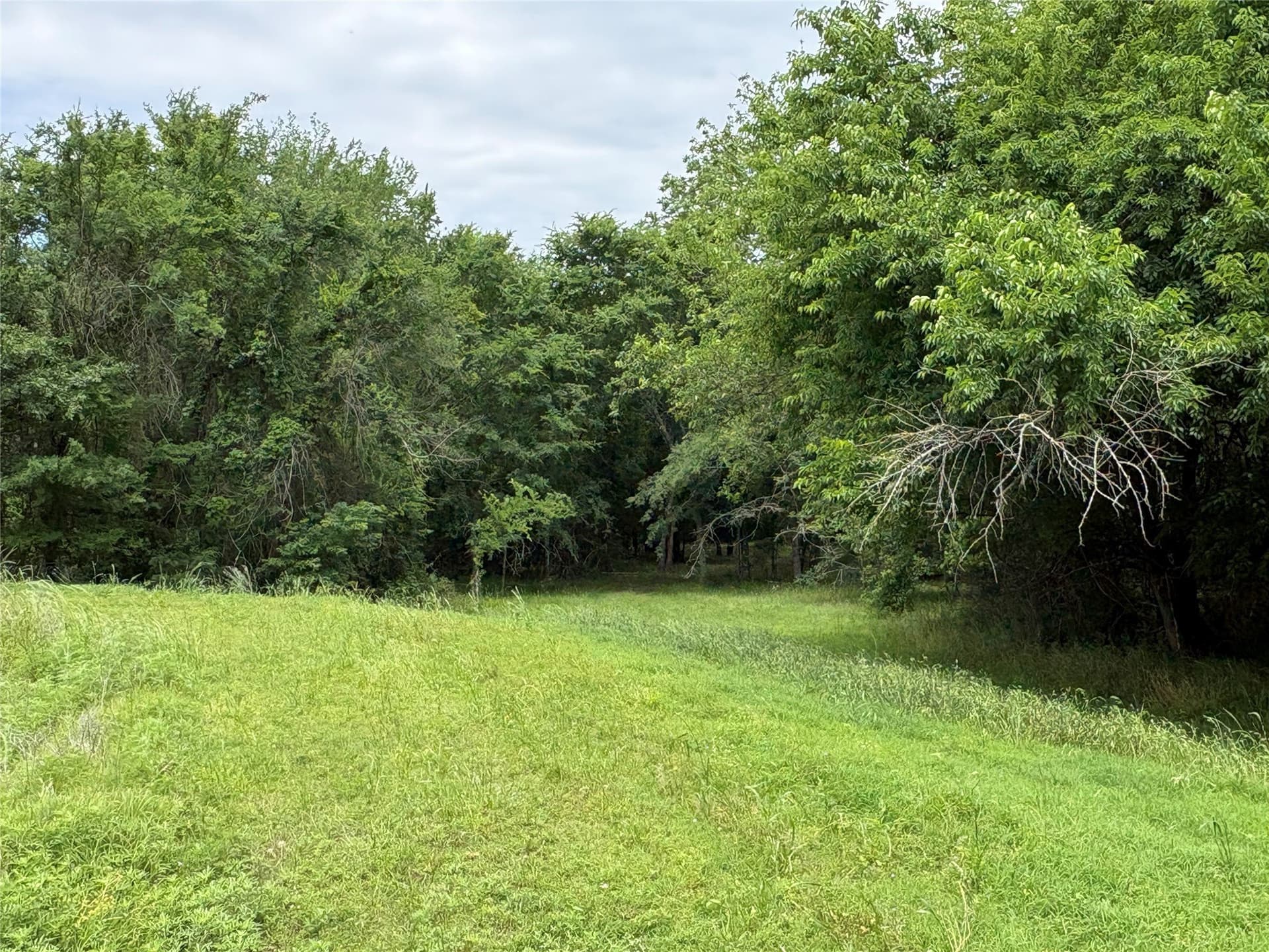 54.38 acres in Hopkins County - photo 7
