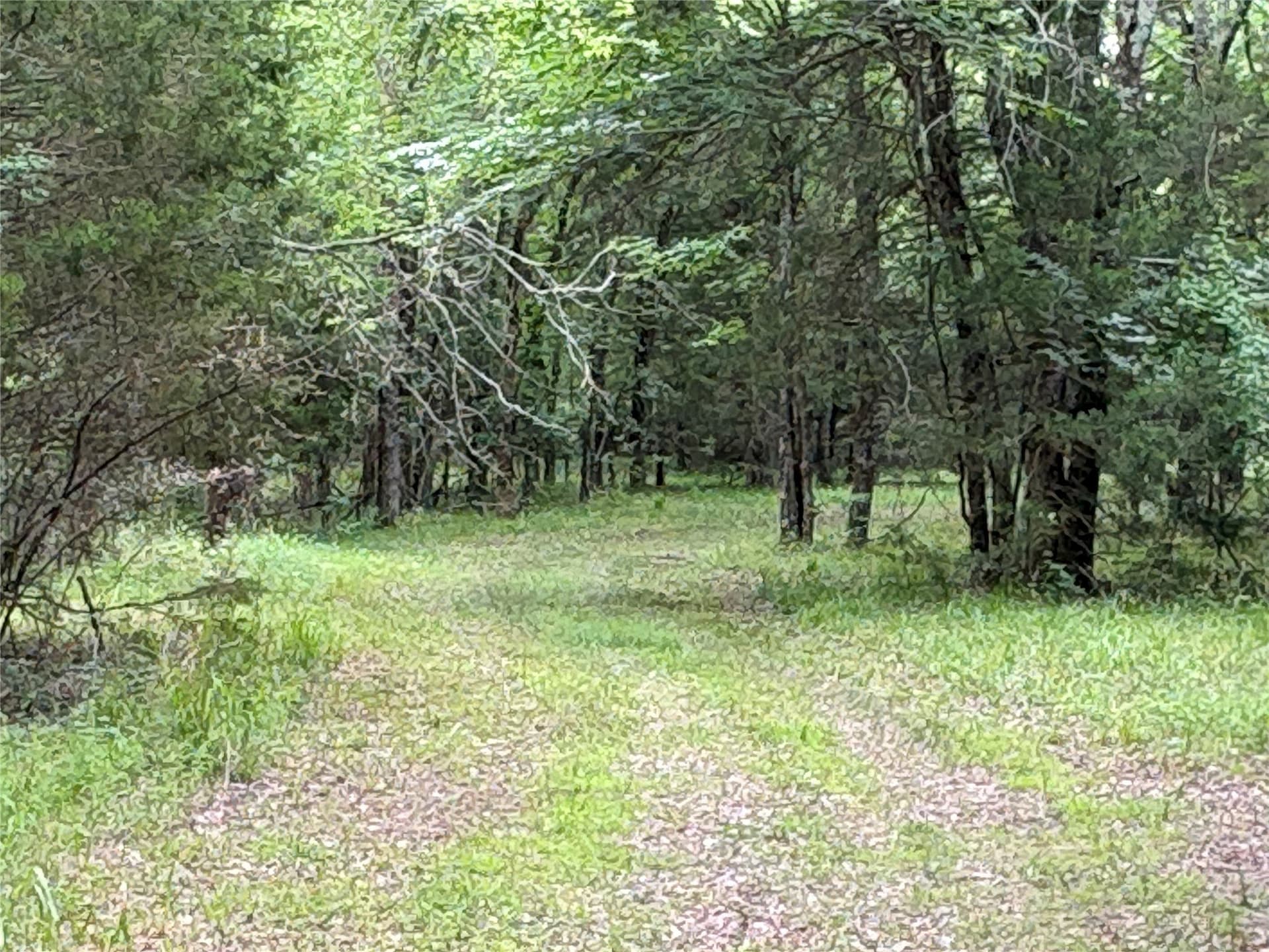 54.38 acres in Hopkins County - photo 4