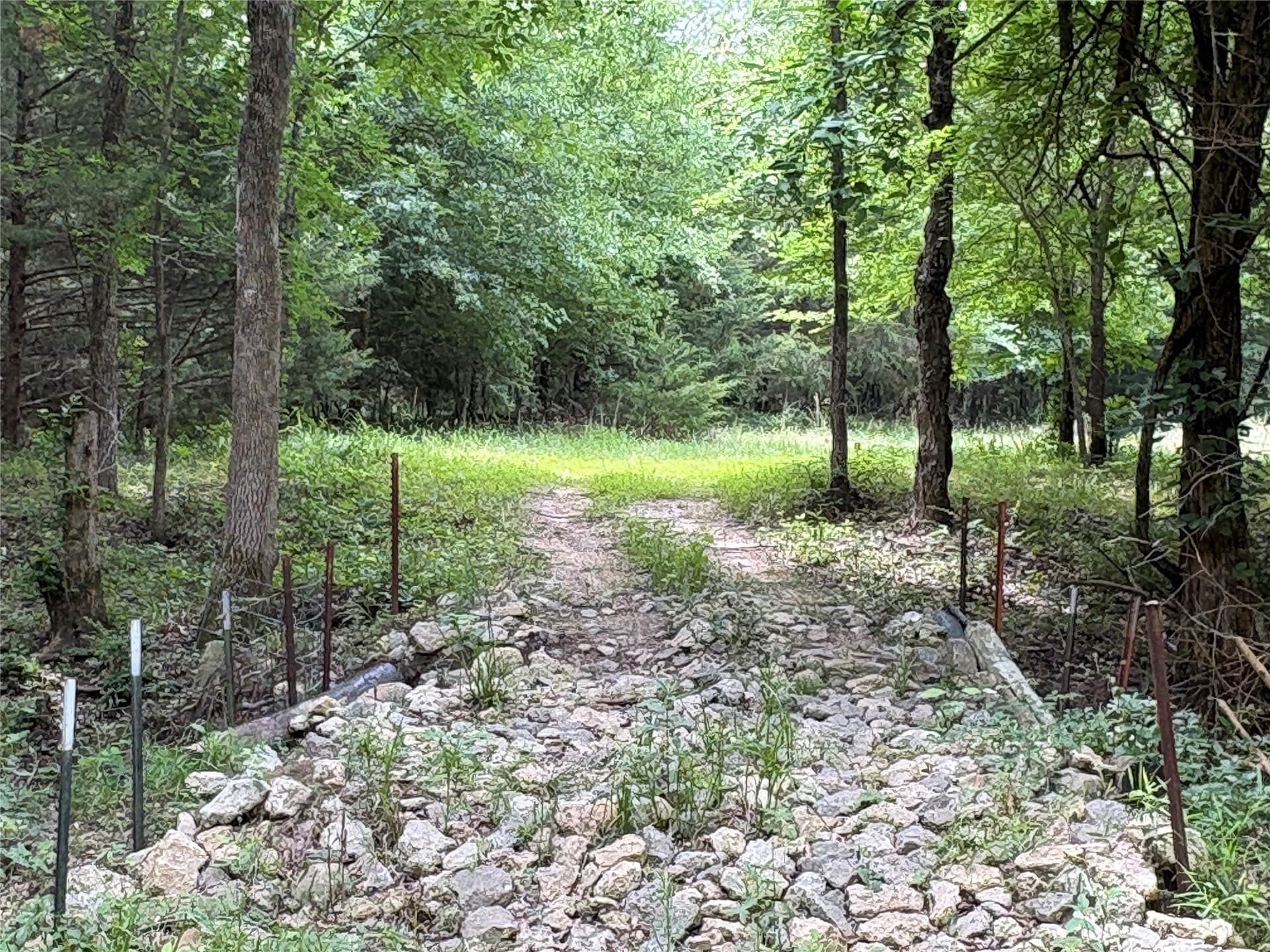 54.38 acres in Hopkins County - photo 6