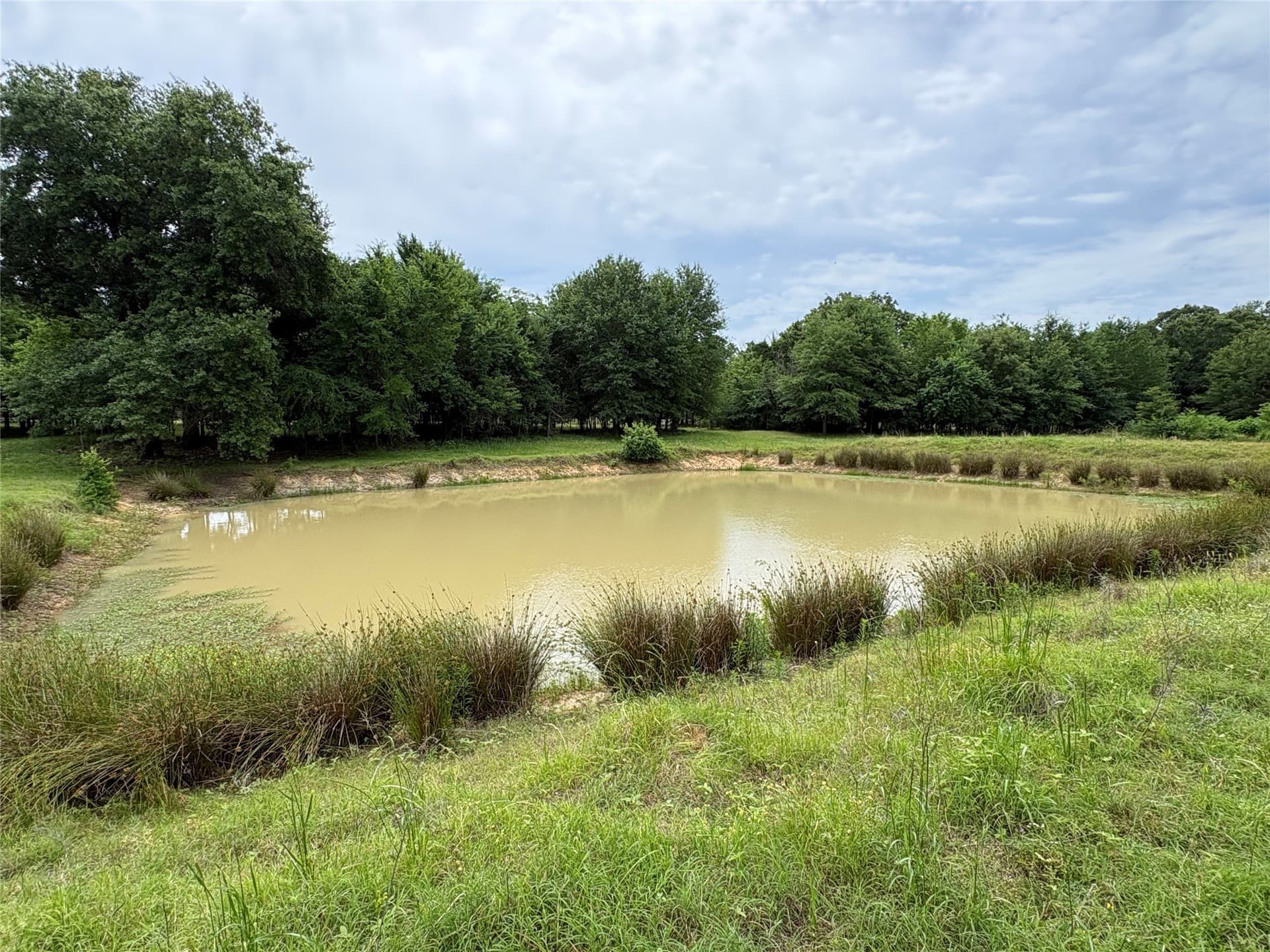 54.38 acres in Hopkins County - photo 16