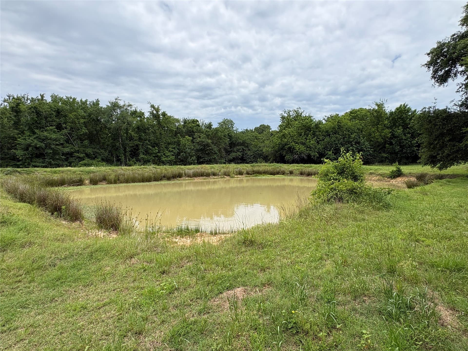 54.38 acres in Hopkins County - photo 14