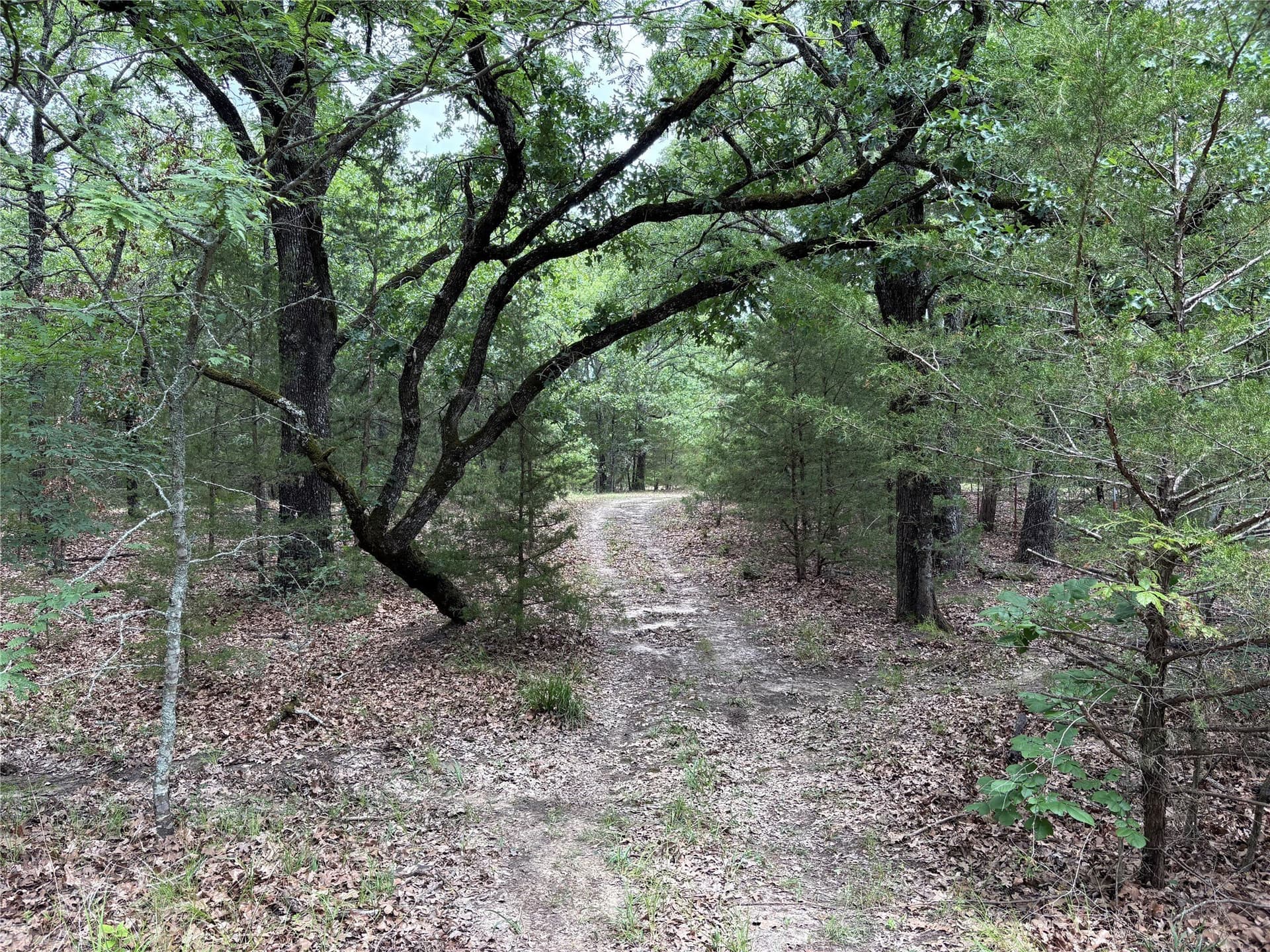 54.38 acres in Hopkins County - photo 23