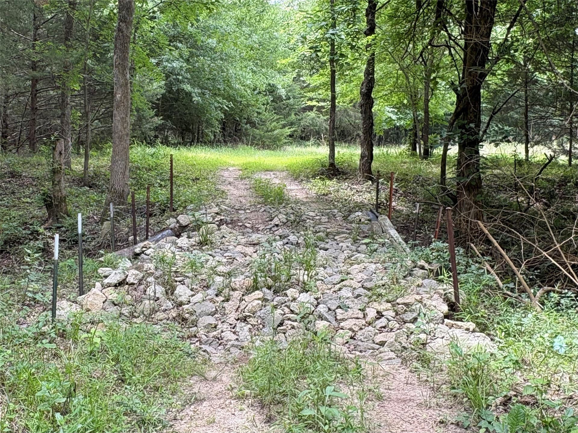 54.38 acres in Hopkins County - photo 17
