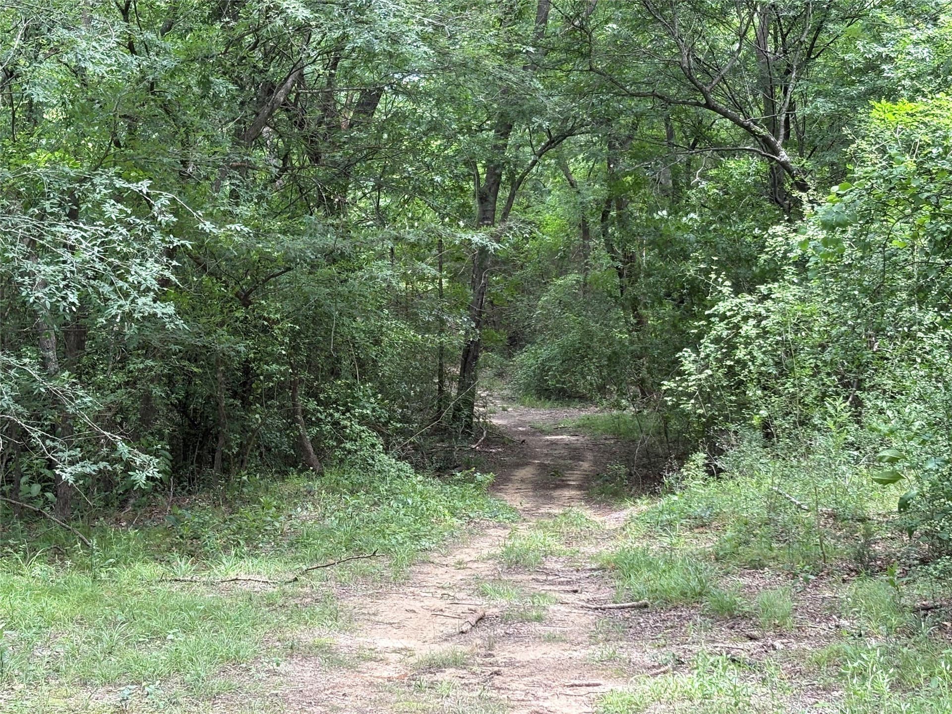 54.38 acres in Hopkins County - photo 5