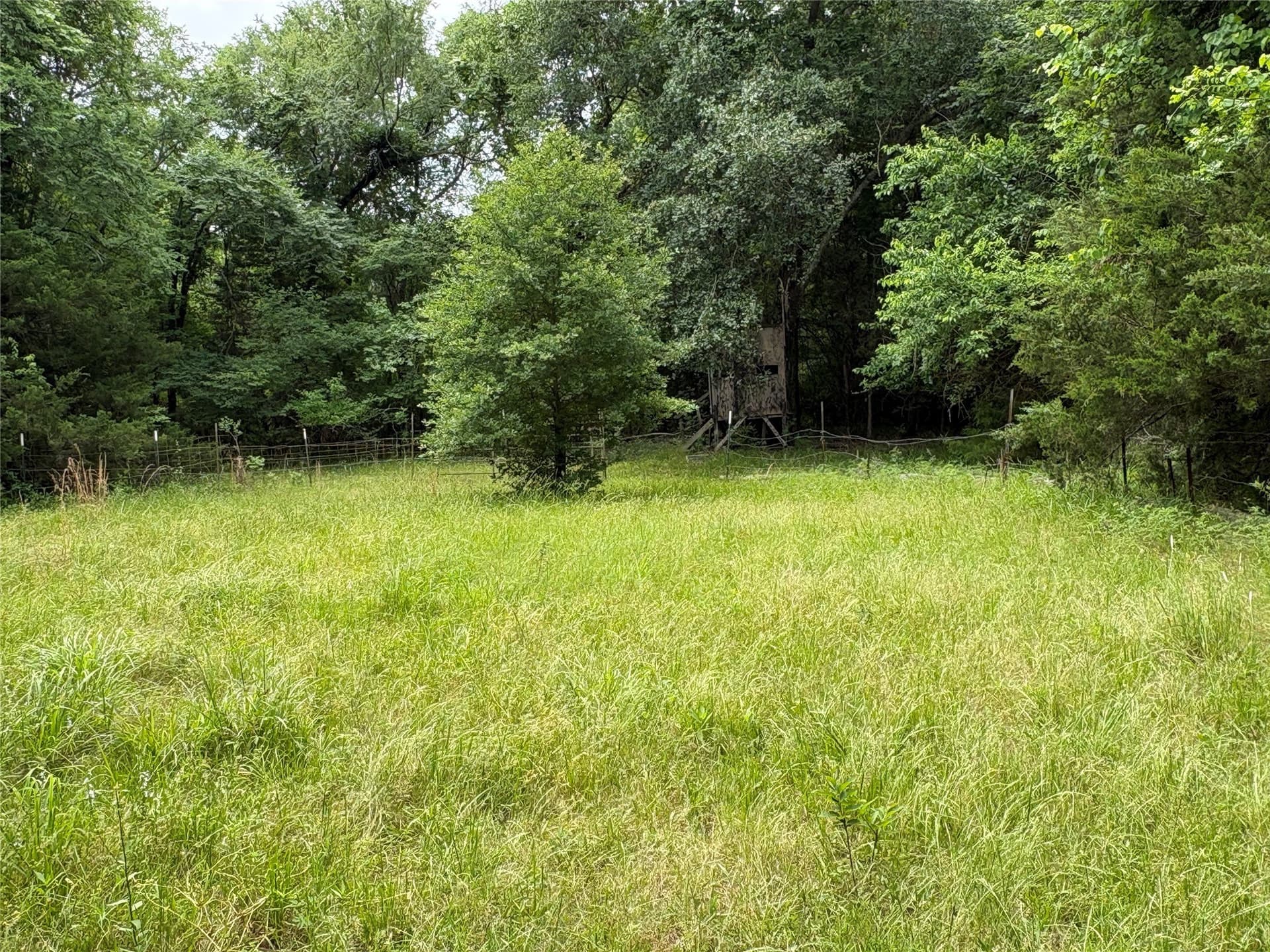 54.38 acres in Hopkins County - photo 9