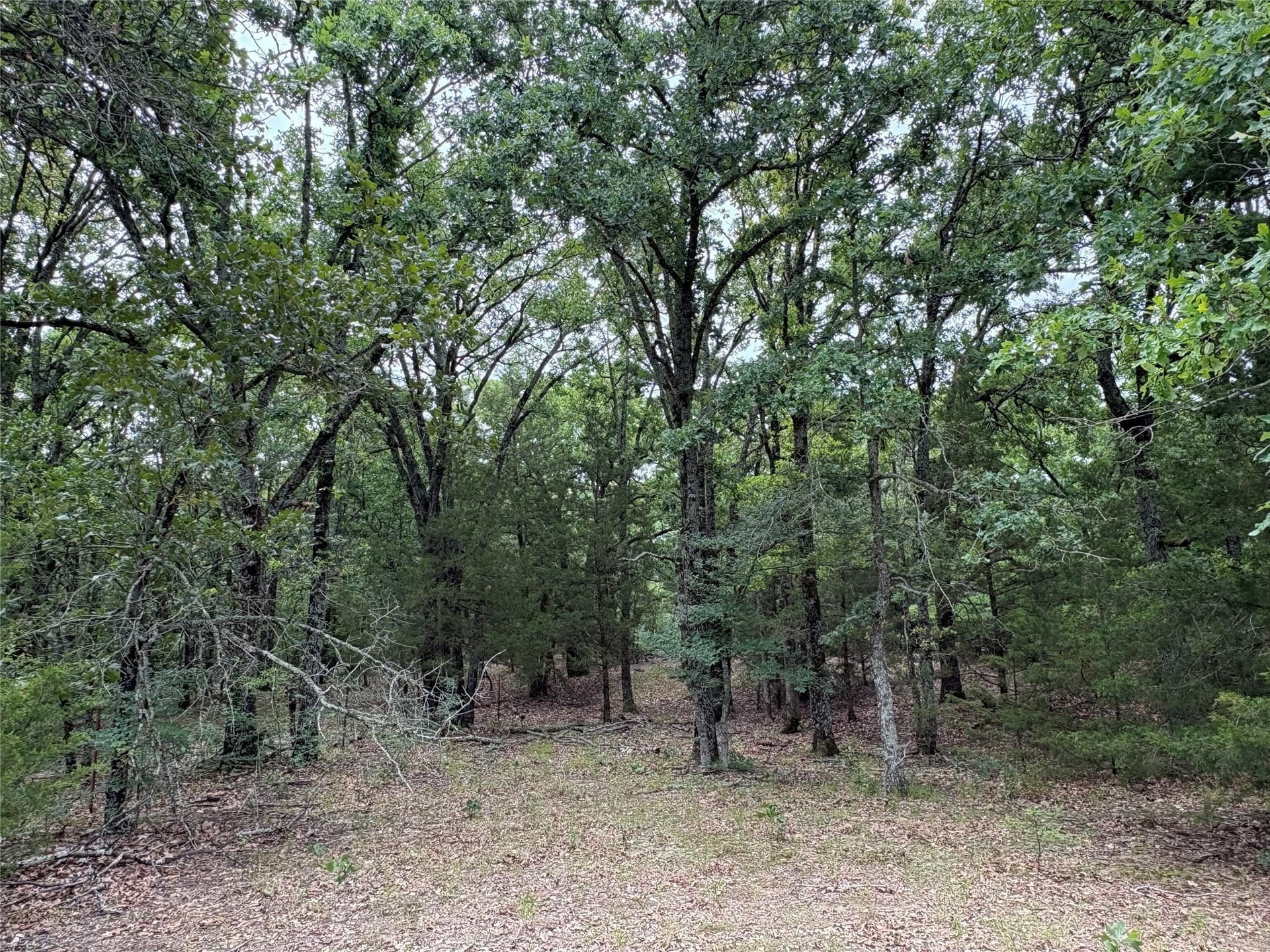 54.38 acres in Hopkins County - photo 20