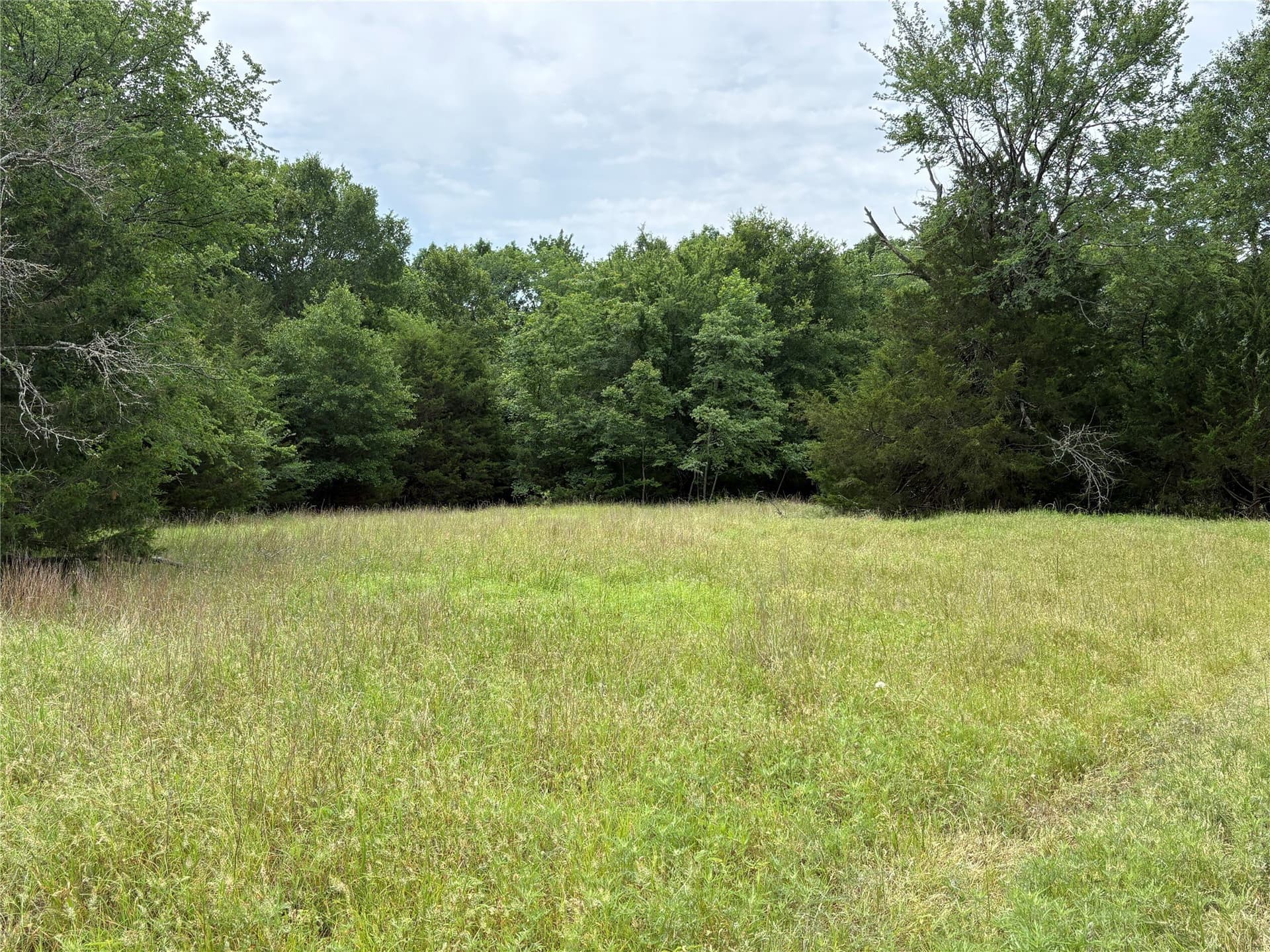 54.38 acres in Hopkins County - photo 11