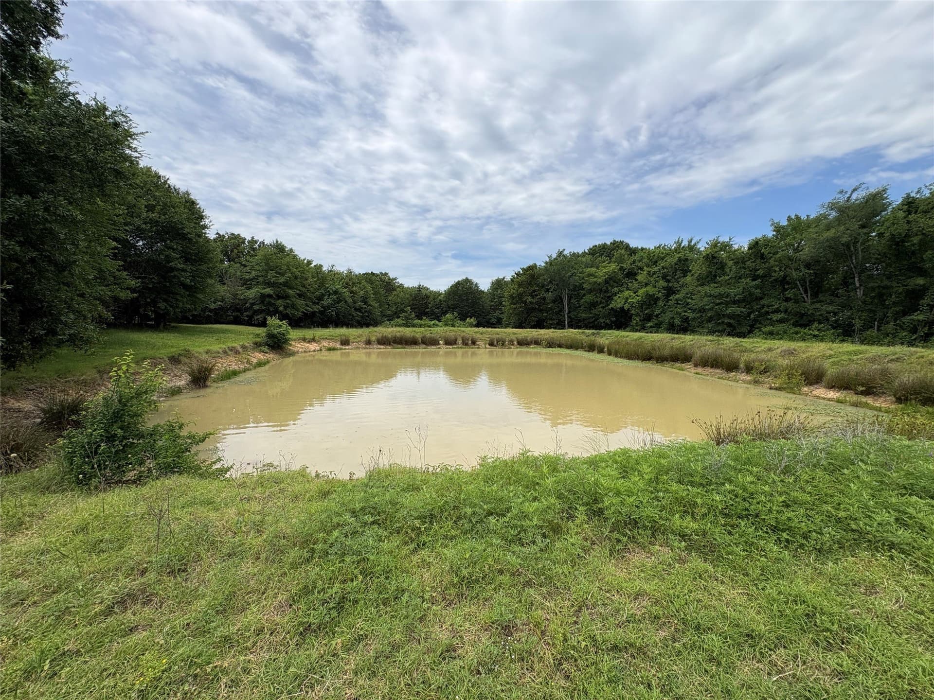 54.38 acres in Hopkins County - photo 13