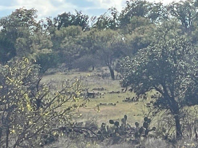 29.92 acres in McCulloch County - photo 6