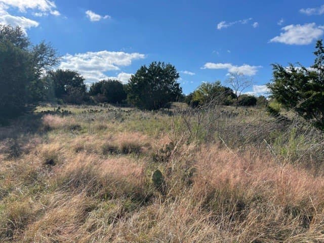 29.92 acres in McCulloch County - photo 18