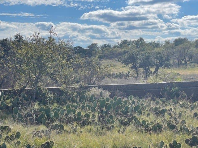 29.92 acres in McCulloch County - photo 8