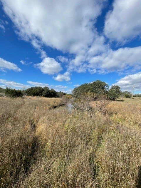 29.92 acres in McCulloch County - photo 16