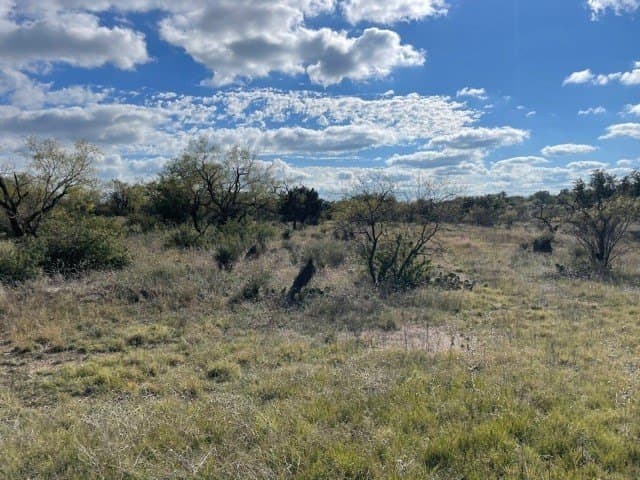 29.92 acres in McCulloch County - photo 4