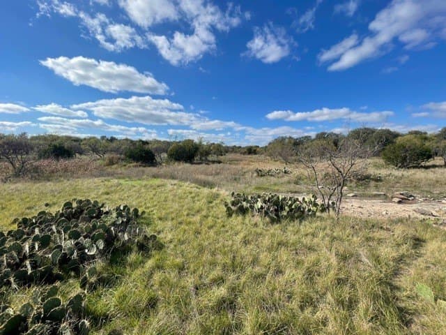 29.92 acres in McCulloch County - photo 7