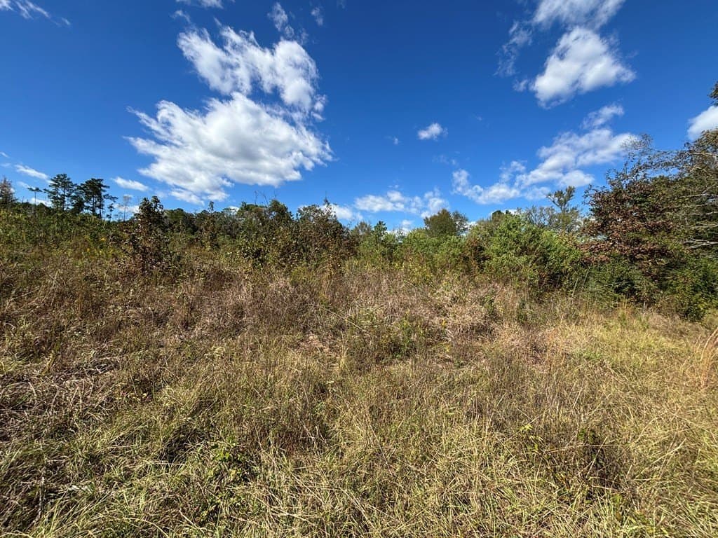 10 acres in Texas County featured view