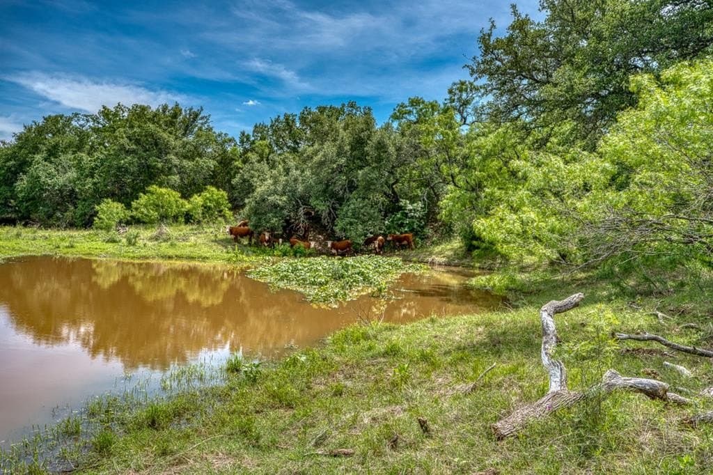 125.78 acres in Llano County gallery image 4