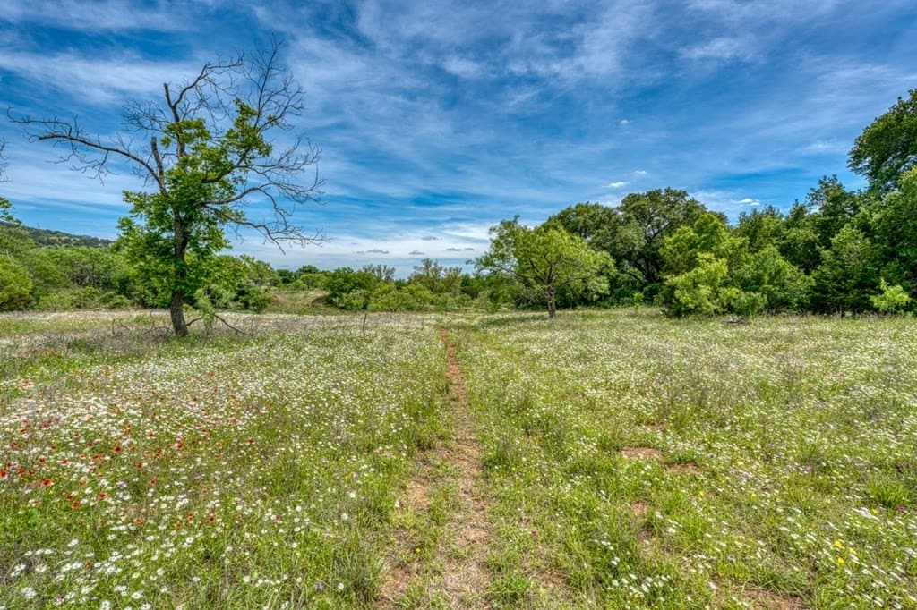 125.78 acres in Llano County - photo 41