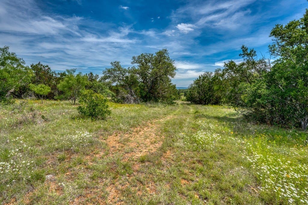 125.78 acres in Llano County - photo 46