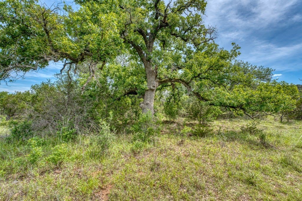 125.78 acres in Llano County - photo 40