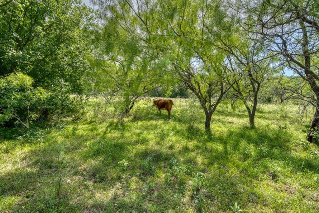 125.78 acres in Llano County - photo 32