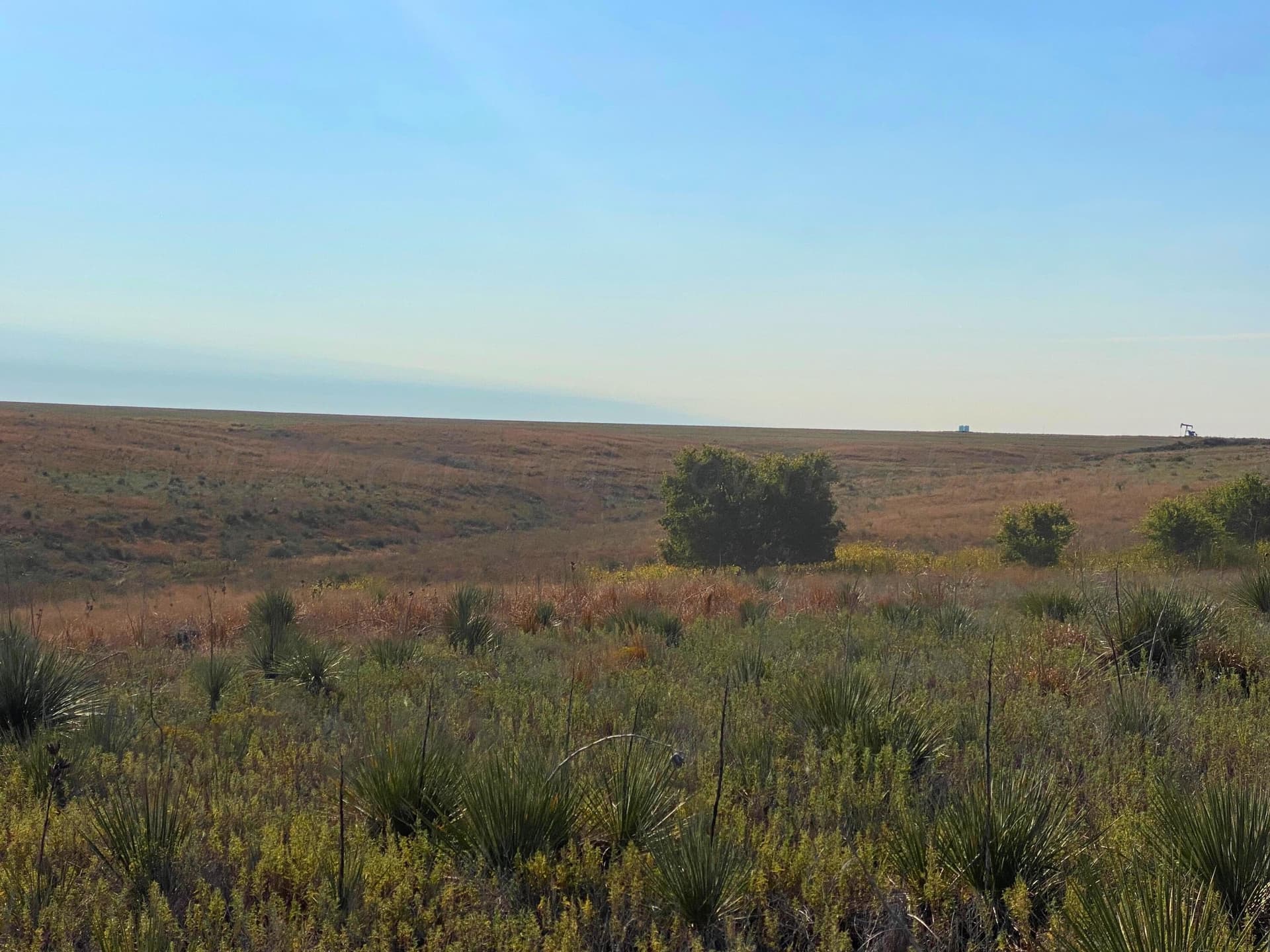 992 acres in Lipscomb County featured view