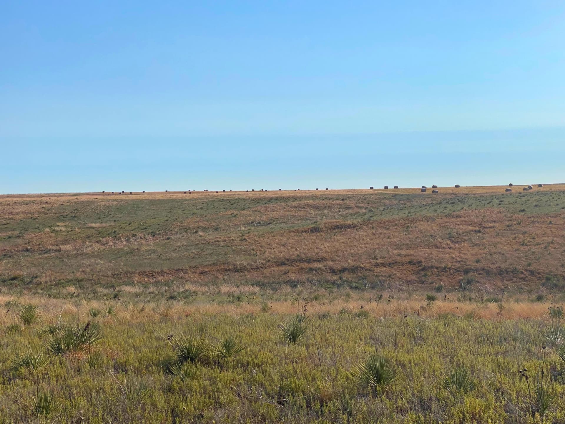 992 acres in Lipscomb County gallery image 4